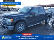 New 2014 Ford F150
