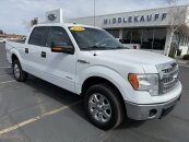 2014 Ford F150