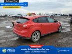 Thumbnail Photo 4 for New 2014 Ford Focus