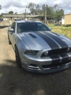 Thumbnail Photo 6 for 2014 Ford Mustang GT Coupe for Sale by Owner