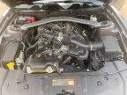 Thumbnail Photo 2 for 2014 Ford Mustang