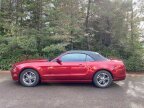 Thumbnail Photo 1 for 2014 Ford Mustang