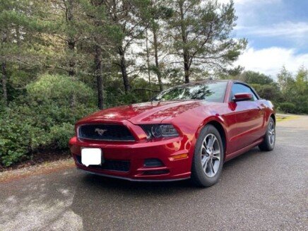 Photo 1 for 2014 Ford Mustang