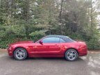 Thumbnail Photo 3 for 2014 Ford Mustang