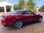 Thumbnail Photo 2 for 2014 Ford Mustang