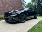 Thumbnail Photo 1 for 2014 Ford Mustang Shelby GT500 Coupe