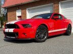 Thumbnail Photo 1 for 2014 Ford Mustang Shelby GT500 Coupe