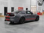 Thumbnail Photo 4 for 2014 Ford Mustang Shelby GT500