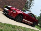 Thumbnail Photo 2 for 2014 Ford Mustang Shelby GT500 Coupe