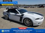 Thumbnail Photo 5 for New 2014 Ford Mustang GT Convertible