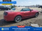 Thumbnail Photo 4 for 2014 Ford Mustang Convertible