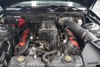 Thumbnail Photo 3 for 2014 Ford Mustang