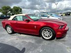 Thumbnail Photo 4 for 2014 Ford Mustang