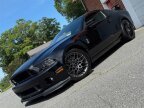 Thumbnail Photo 2 for 2014 Ford Mustang Shelby GT500 Coupe