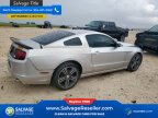 Thumbnail Photo 4 for 2014 Ford Mustang Coupe