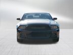 Thumbnail Photo 1 for 2014 Ford Mustang GT Premium