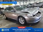 Thumbnail Photo 5 for New 2014 Ford Taurus