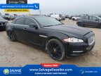 Thumbnail Photo 5 for New 2014 Jaguar XJ L Portfolio