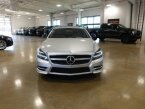 Thumbnail Photo 1 for 2014 Mercedes-Benz CLS550