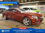 Thumbnail Photo 5 for New 2014 Mercedes-Benz CLS550