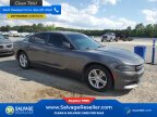 Thumbnail Photo 5 for New 2015 Dodge Charger SE