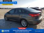Thumbnail Photo 3 for New 2015 Ford Focus
