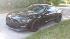 Thumbnail Photo 1 for 2015 Ford Mustang GT Coupe for Sale by Owner