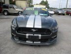 Thumbnail Photo 4 for 2015 Ford Mustang