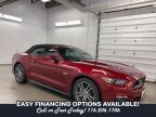 Thumbnail Photo 4 for 2015 Ford Mustang GT Premium