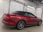 Thumbnail Photo 5 for 2015 Ford Mustang GT Premium