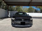 Thumbnail Photo 1 for 2015 Ford Mustang GT