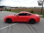 Thumbnail Photo 3 for 2015 Ford Mustang