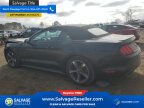 Thumbnail Photo 3 for New 2015 Ford Mustang Convertible