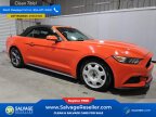 Thumbnail Photo 5 for New 2015 Ford Mustang Convertible