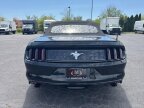 Thumbnail Photo 6 for 2015 Ford Mustang