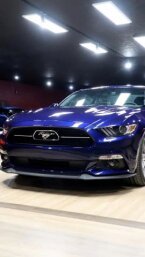 Thumbnail Photo 1 for 2015 Ford Mustang