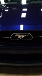 Thumbnail Photo 6 for 2015 Ford Mustang