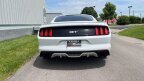 Thumbnail Photo 5 for 2015 Ford Mustang