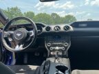 Thumbnail Photo 4 for 2015 Ford Mustang
