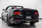 Thumbnail Photo 4 for 2015 Ford Mustang GT Premium