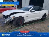 New 2015 Ford Mustang GT Convertible