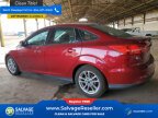 Thumbnail Photo 3 for New 2016 Ford Focus