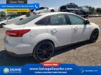 Thumbnail Photo 4 for New 2016 Ford Focus