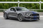 Thumbnail Photo 5 for 2016 Ford Mustang Shelby GT350 Coupe
