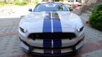 Thumbnail Photo 1 for 2016 Ford Mustang Shelby GT350 Coupe for Sale by Owner