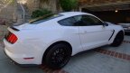 Thumbnail Photo 2 for 2016 Ford Mustang Shelby GT350 Coupe for Sale by Owner