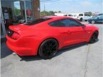 Thumbnail Photo 1 for 2016 Ford Mustang GT