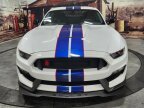 Thumbnail Photo 2 for 2016 Ford Mustang Shelby GT350 Coupe