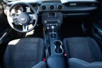 Thumbnail Photo 1 for 2016 Ford Mustang