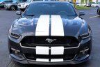 Thumbnail Photo 1 for 2016 Ford Mustang